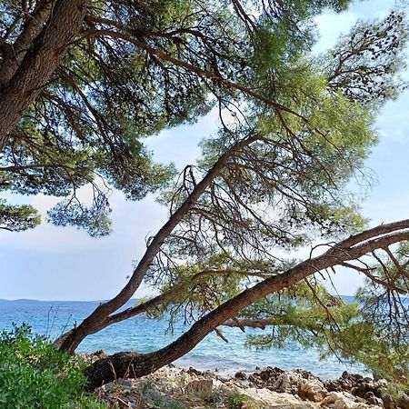 Apartments Jaksic Trogir Zewnętrze zdjęcie