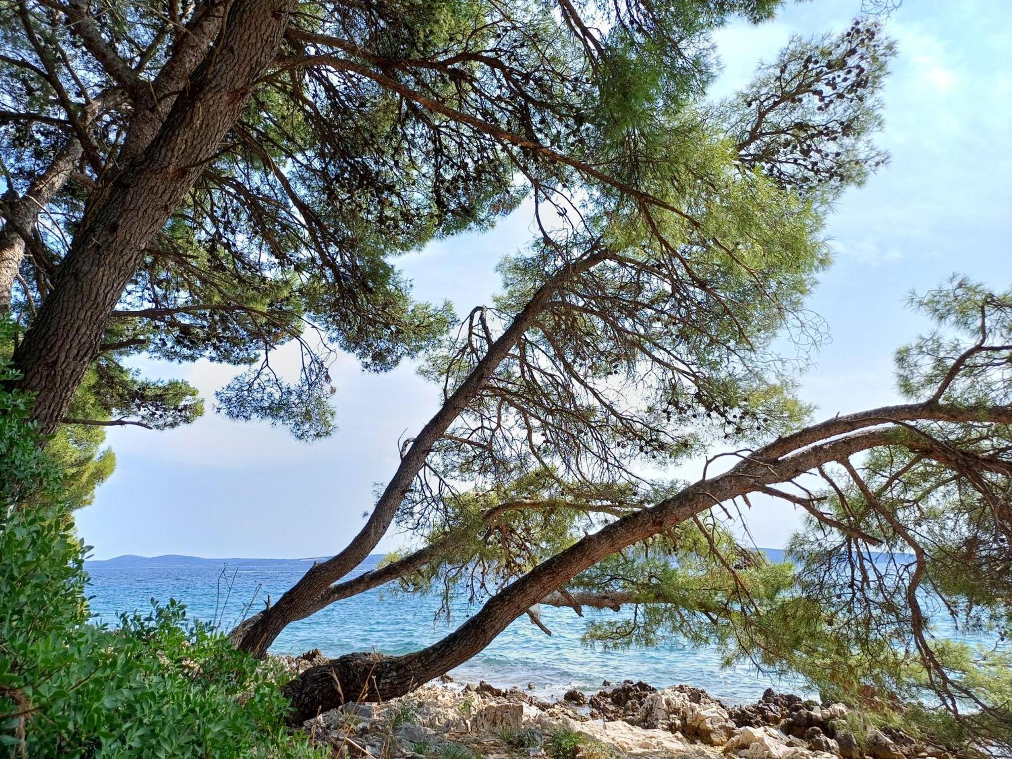Apartments Jaksic Trogir Zewnętrze zdjęcie