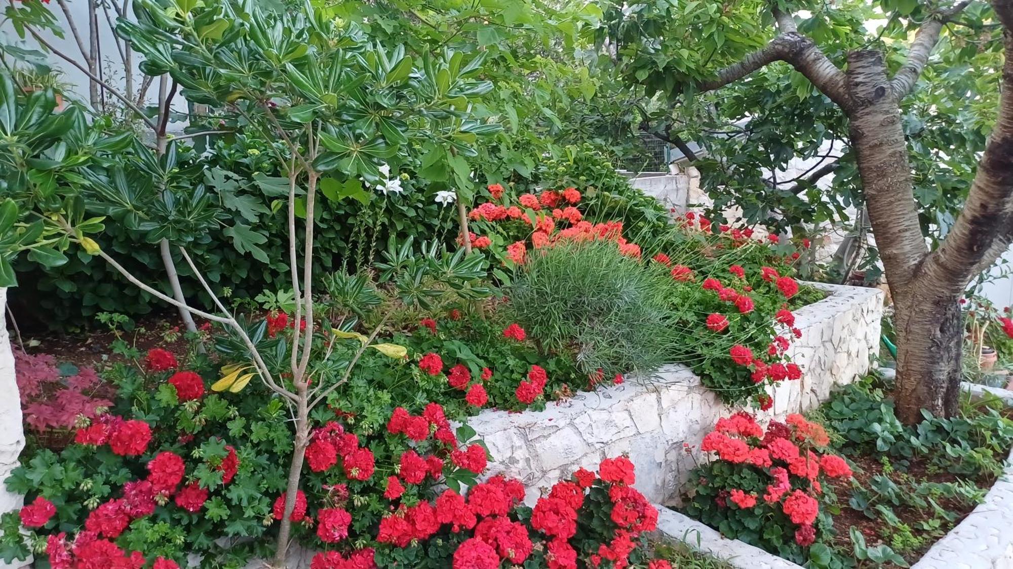 Apartments Jaksic Trogir Zewnętrze zdjęcie